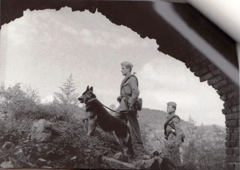 Când nici câinii grănicerilor nu mai credeau în politica de izolare a românilor în ţarc. Scenă de film la Beba Veche