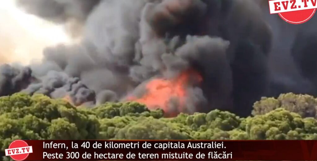 Evz.TV. Alertă în Australia. Incendiu de proporții la câțiva kilometri de Capitală. 300 de hectare de teren mistuite de flăcări