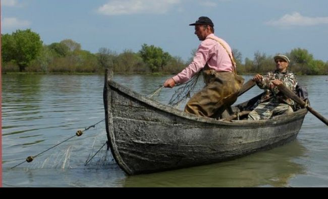 Avertisment de la Ministerul Agriculturii. Pescuitul pe Dunăre va fi interzis dacă pescarii nu raportează capturile reale