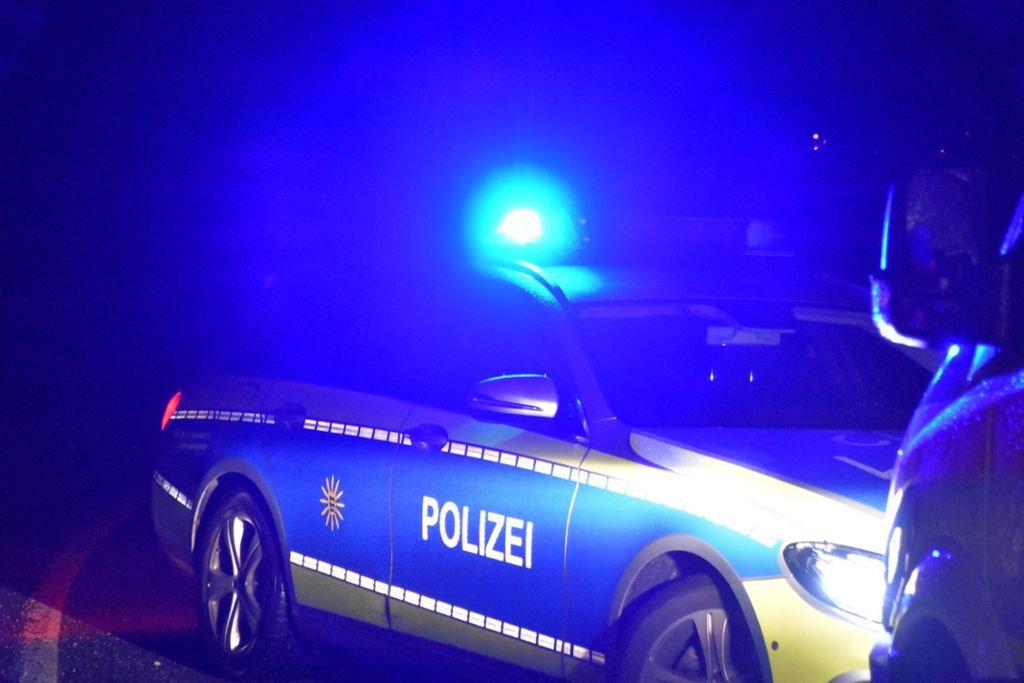 39 de persoane, reținute la Frankfurt după ce o petrecere în aer liber a degenerat