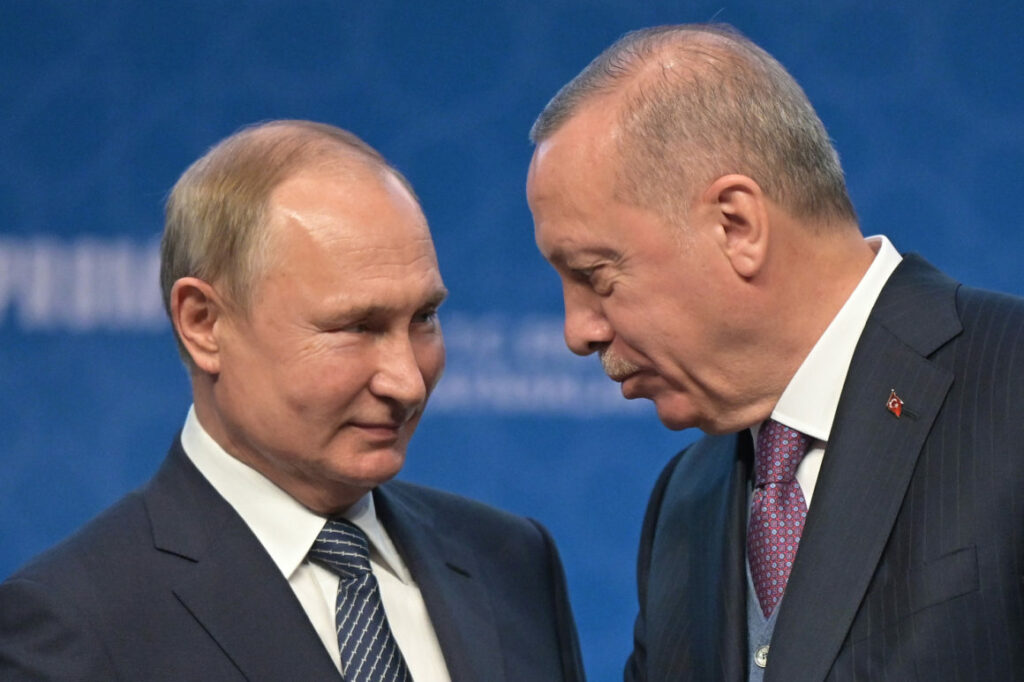 Erdogan îi arată pisica lui Putin. Cu mutarea asta, Turcia dă șah Rusiei!