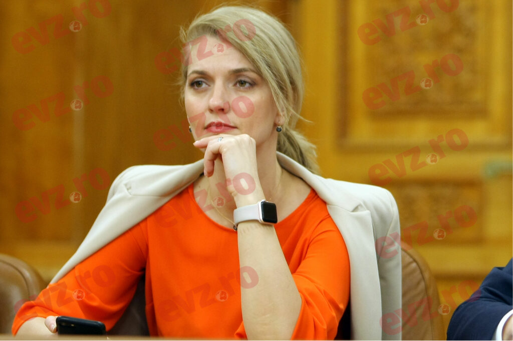 Alina Gorghiu, după extrădarea lui Cătălin Cherecheș: Misiune îndeplinită