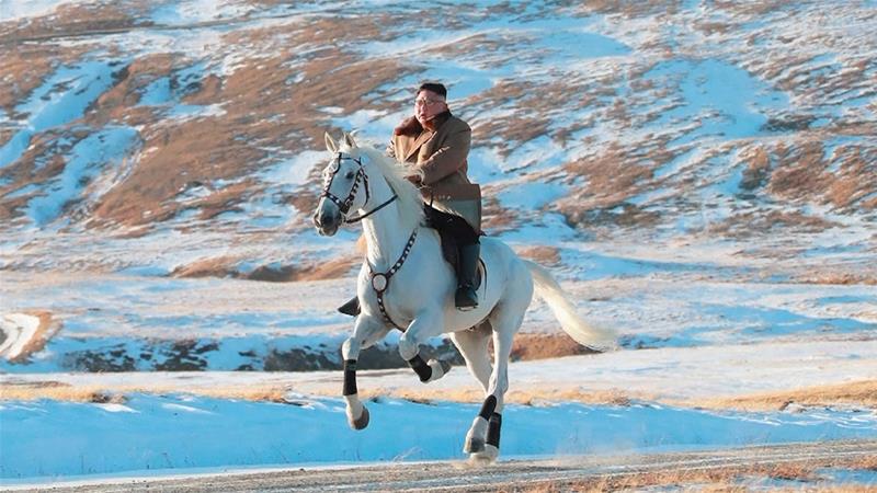 Cum ajung caii de la ferma lui Lenin să fie călăriți de Kim Jong Un