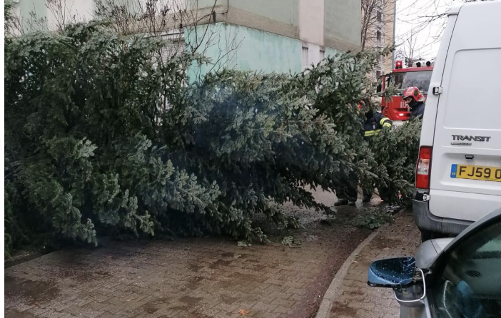 UPDATE. Vreme rea în Banat: copaci prăbușiți, pericol de inundații