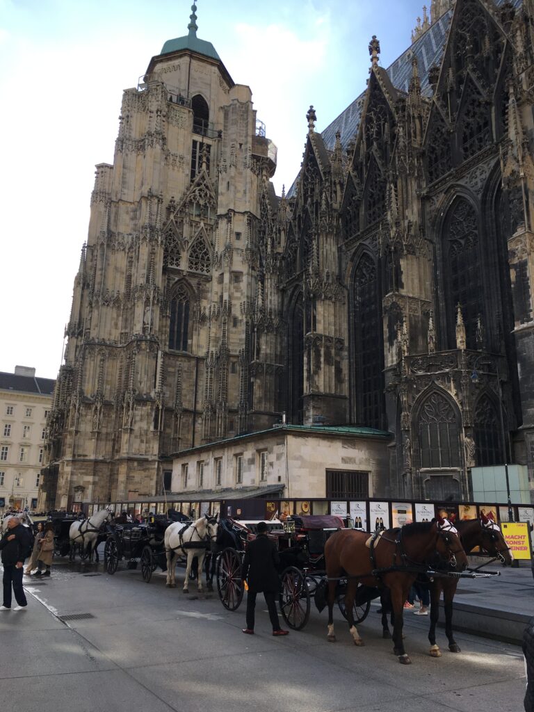 Exclusiv. Vedere din Viena. Febra macaralelor, Gutenberg, cuccu kebap și castorii de pe Dunăre