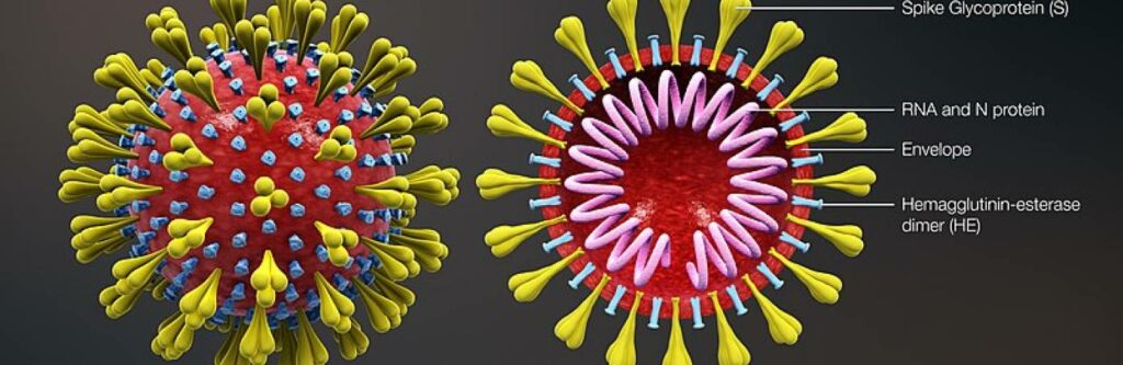 Veștile sunt îngrijorătoare! Coronavirusul a suferit 150 de mutații: „Este mai agresiv decât…”