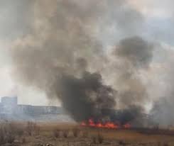Incendiu devastator în Delta Văcărești. Pompierii luptă cu flăcările înalte