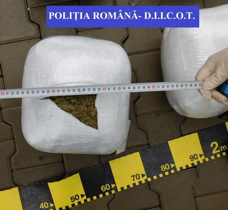 Comuna Dumitra. Dealerul satului a fost prins cu 17 kg de marijuana! Speriat, traficantul a spus tot la DIICOT