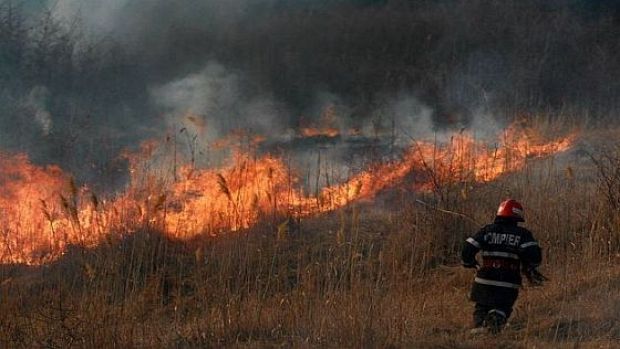 Incendiu violent, sute de hectare au fost pârjolite. Operațiune disperată a pompierilor