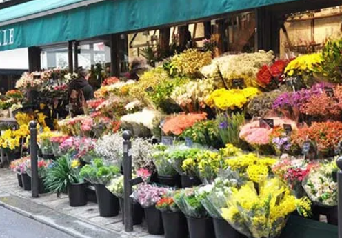 Câți bani cheltuie românii pe flori? Sumele sunt colosale