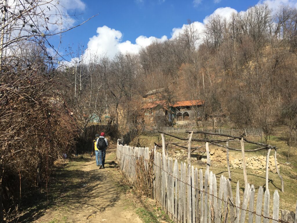 Vedere din Țara Cârlanilor. Satul agățat de cer, mârlanii gunoieri și pădurea furată