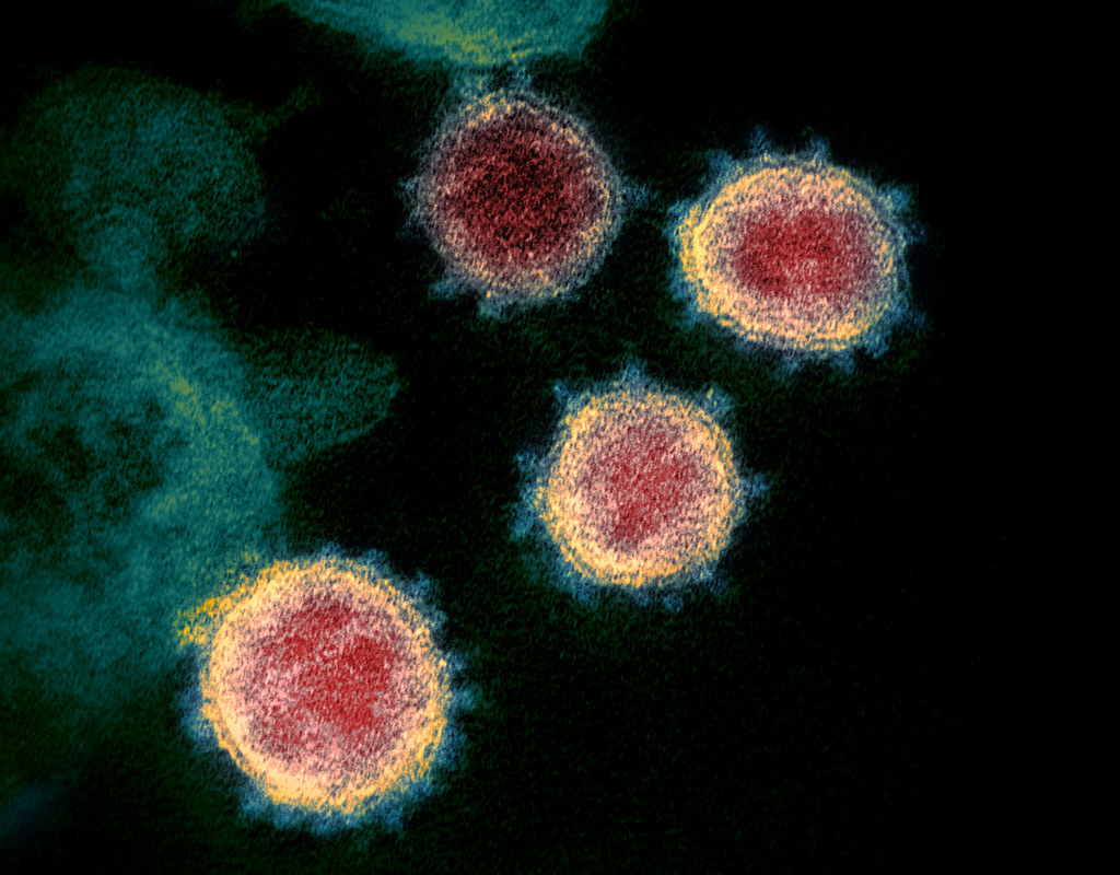 Coronavirus. SUA: Vom fi loviți, nu este decât o chestiune de timp