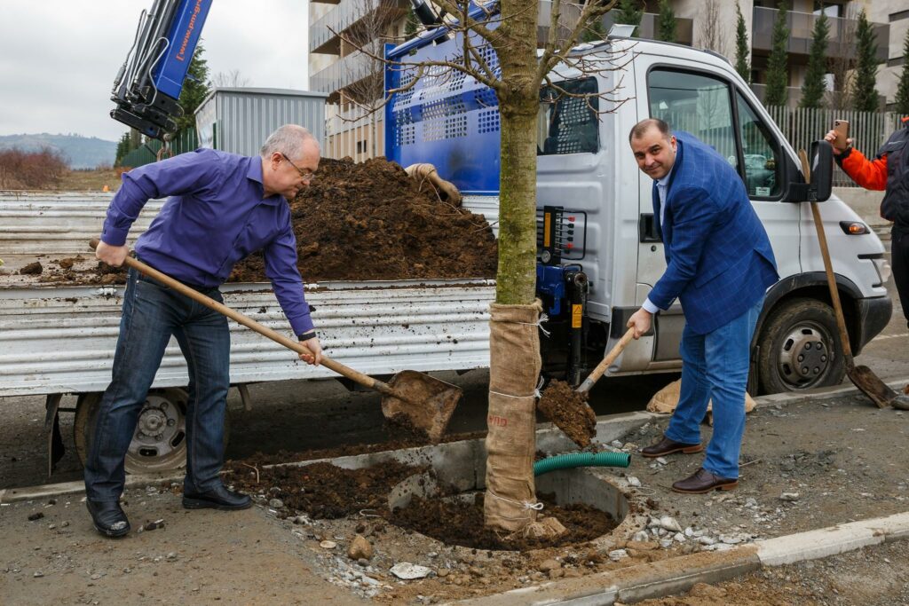 Emil Boc a plantat copaci în mijlocul unui trotuar! Primarul și-a dat seama de greșeală
