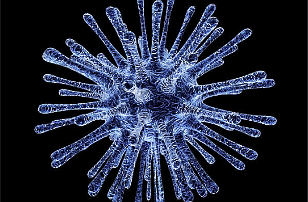 Cinism. A fost creată o criptomonedă bazată pe numărul de decese legate de coronavirus