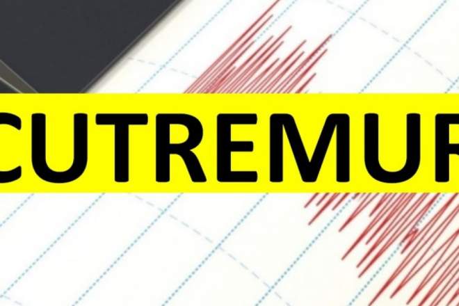 Cutremur ciudat în România. Unde s-a produs și unde s-a simțit mișcarea telurică