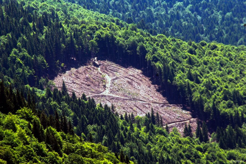 „Austriacul care ne fură pădurile”. Poluarea de la sobele de lut și godine