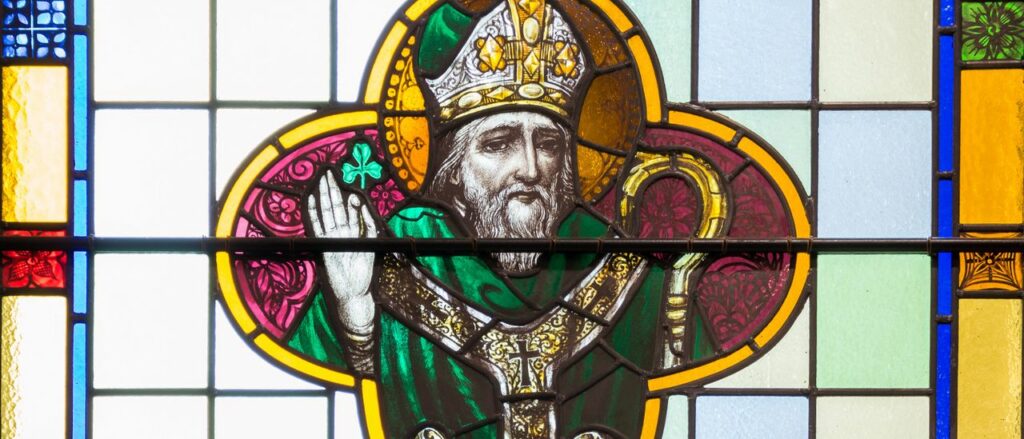 Sfântul Patrick are iar de lucru: Primul irlandez mușcat de șarpe din istorie