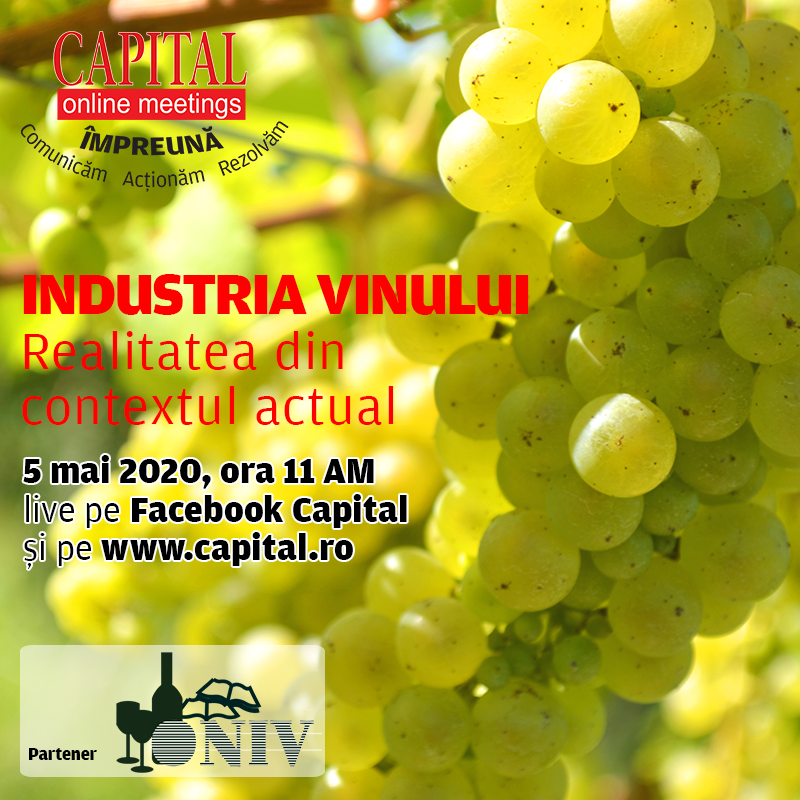 Capital Online Meetings – Industria vinului - Realitatea din contextul actual
