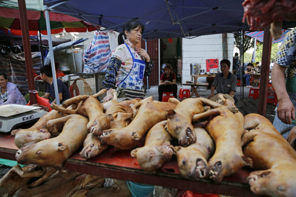Piețele asiatice de carne pun omenirea pe jar. „Următoarea pandemie globală e după colț”