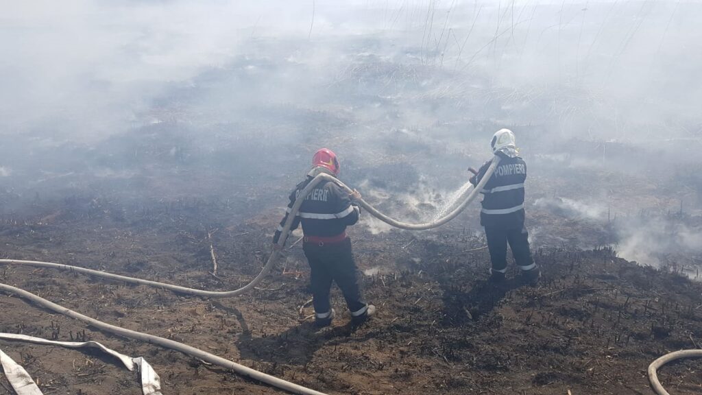 Pompierii intervin la Sintești. Un incendiu de proporții a distrus două hectare de vegetație