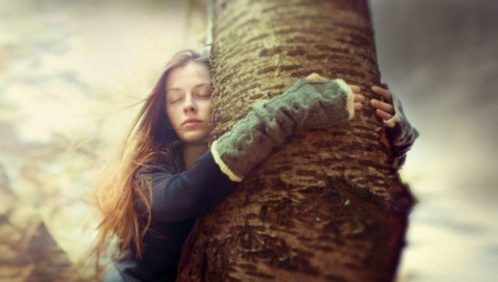 Islanda: Îmbrăţișează un copac și scăpă de depresia provocată de izolare!