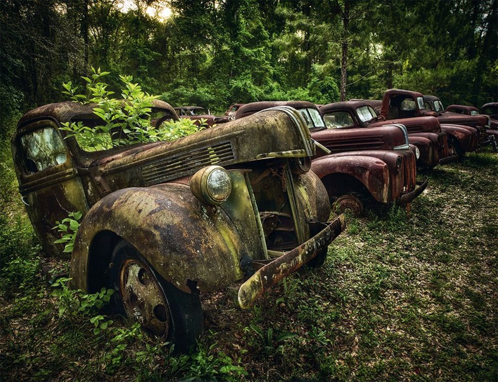 Natura a transformat mașini abandonate în operă de artă. Fotografii spectaculoase!