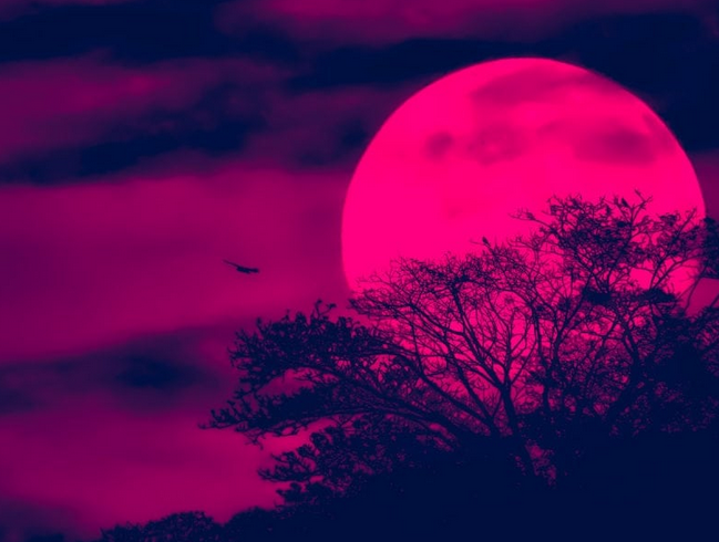 Luna Căpșună. Fiți cu ochii pe cer! Fenomen astronomic extrem de rar