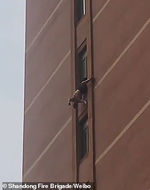 Șcene șocante. Un bătrân atârna la o ferestră de la etajul 10 al unui bloc. Video