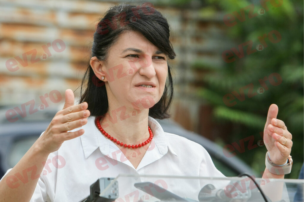 Violeta Alexandru, fost ministru al Muncii, îi acuză pe social-democrați de propagandă electorală privind majorarea salariului minim și a pensiei minime: „Stil parșiv PSDist”
