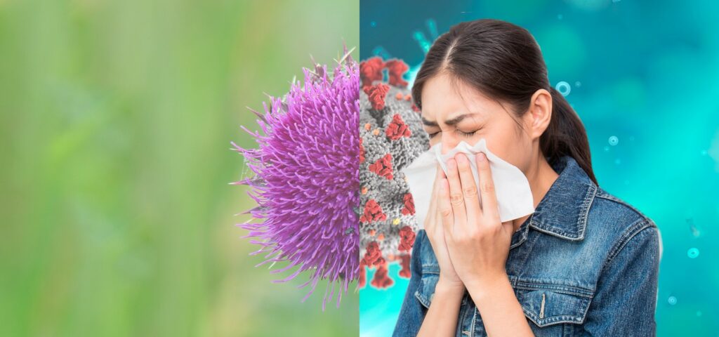 „Alergie în pandemie” – cum să diferențiezi simptomele și să acționezi corect