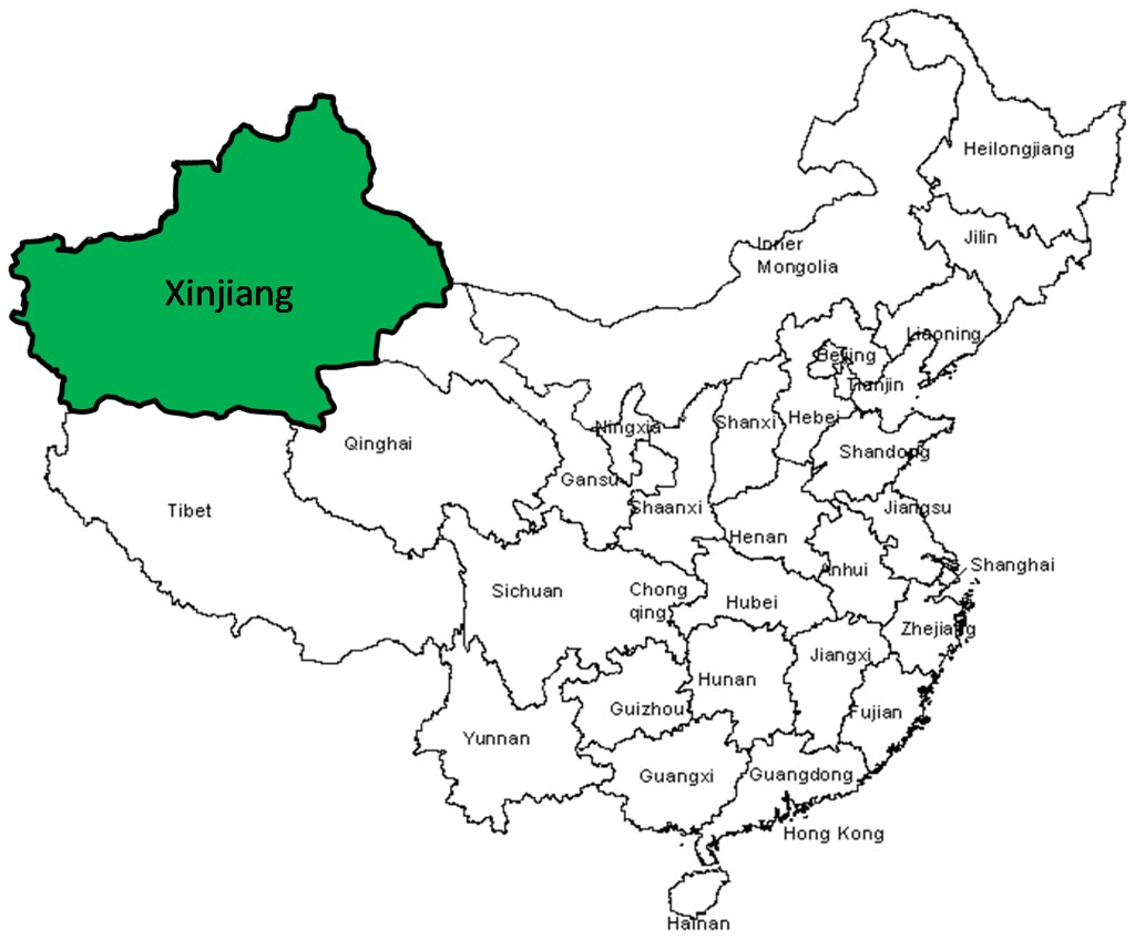 Nou focar Covid-19 în China, în exploziva provincie Xinjiang