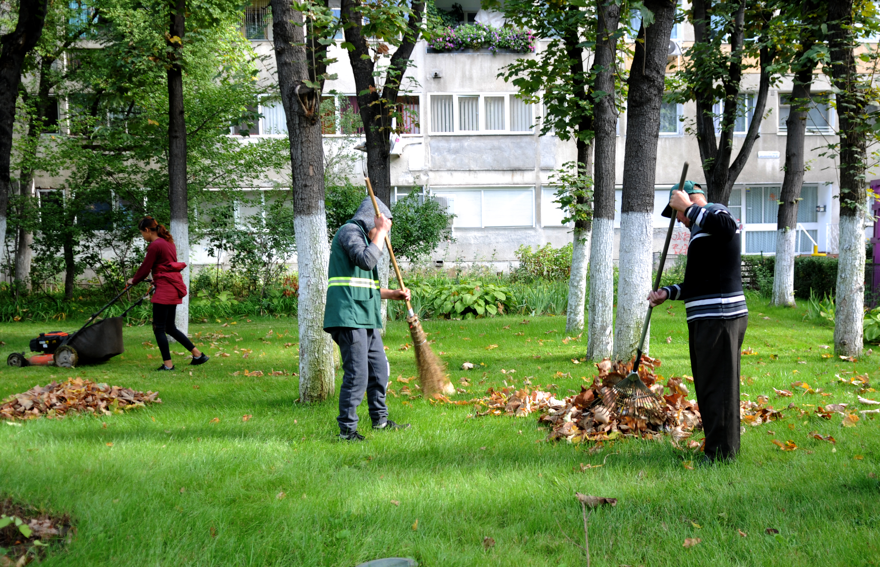 Oamenii în Verde au invadat sectorul 4