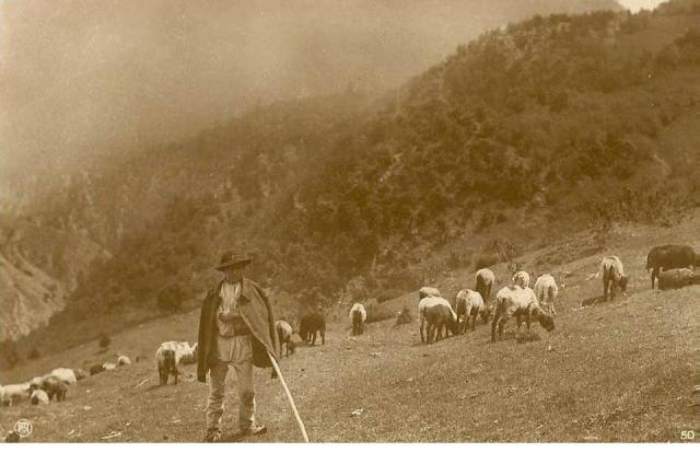 Castelanul de Făgăraș se plânge că ciobanii sibienilor i-au furat 100 de oi