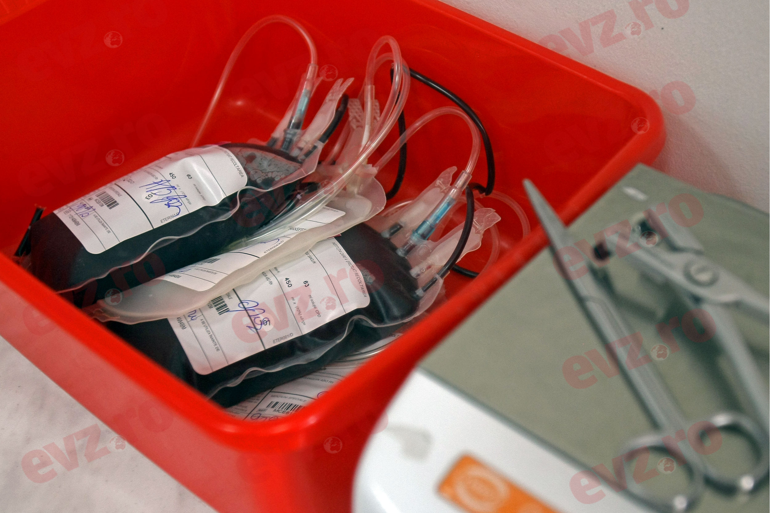 Bilanț dramatic: doar 2 din 100 de pacienți vindecați de COVID au donat plasmă în România