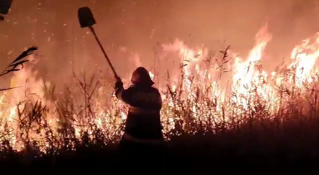 Delta Dunării, mistuită de flăcări. Incendii uriașe în Grindul Chituc