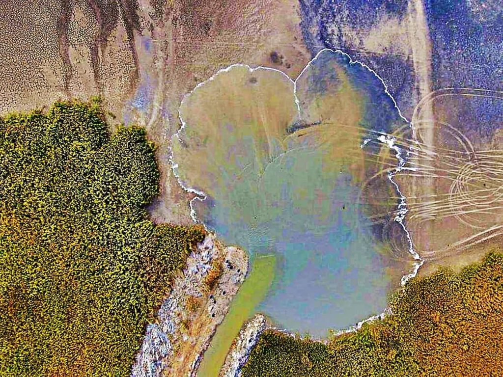 Minune în Dobrogea. Cum a reînviat un lac secat pe 850 de hectare