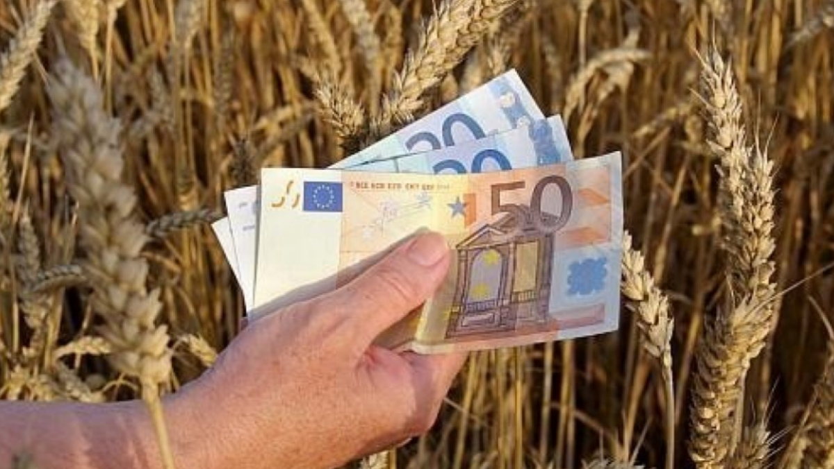 Vești bune de la Comisia Europeană. România va primi bani pentru agricultură