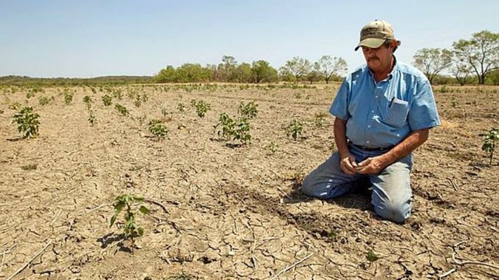 Schimbările climatice au făcut ca seceta de vară să fie mult mai probabilă