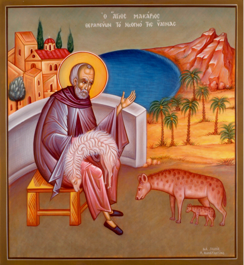 Sfântul Macarie și darul hienei