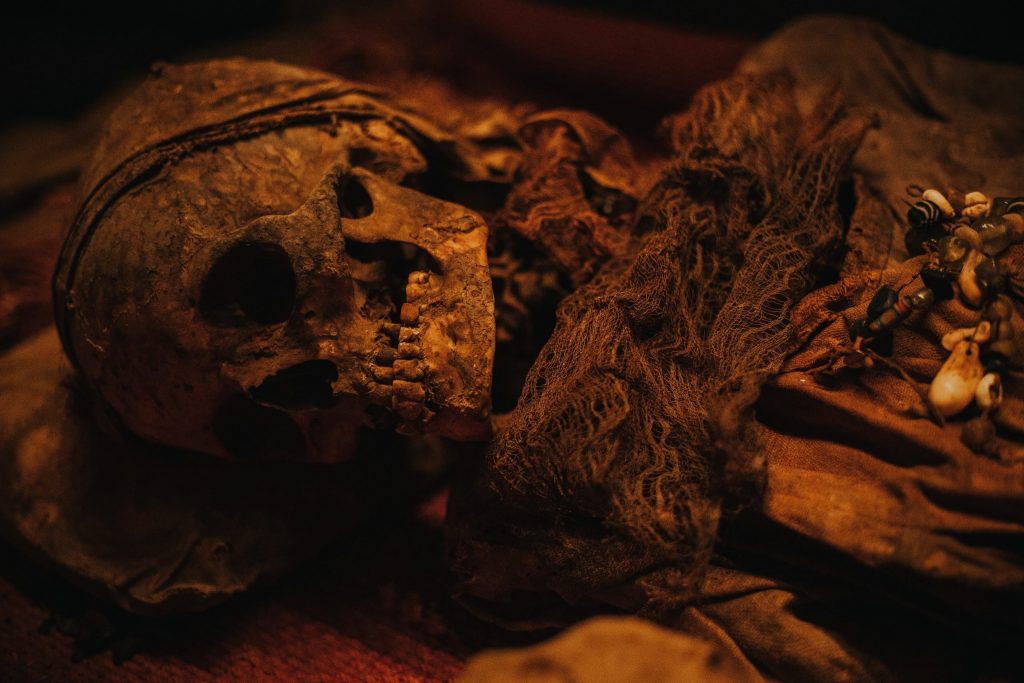 Un schelet uman vechi de peste 3.000 de ani a fost descoperit în Botoșani. Aparține culturii Yamnaya