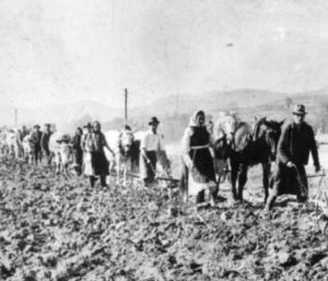 A fost condamnat la 7 ani închisoare deoarece a afirmat că Marx, Lenin și Stalin sunt de vină