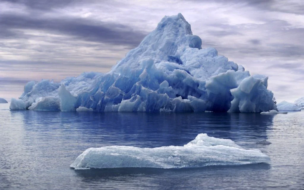 Forme de viață misterioase au fost găsite sub gheaţa din Antarctica. Oamenii de ştiinţă: „Ce mănâncă? De cât timp sunt acolo?”