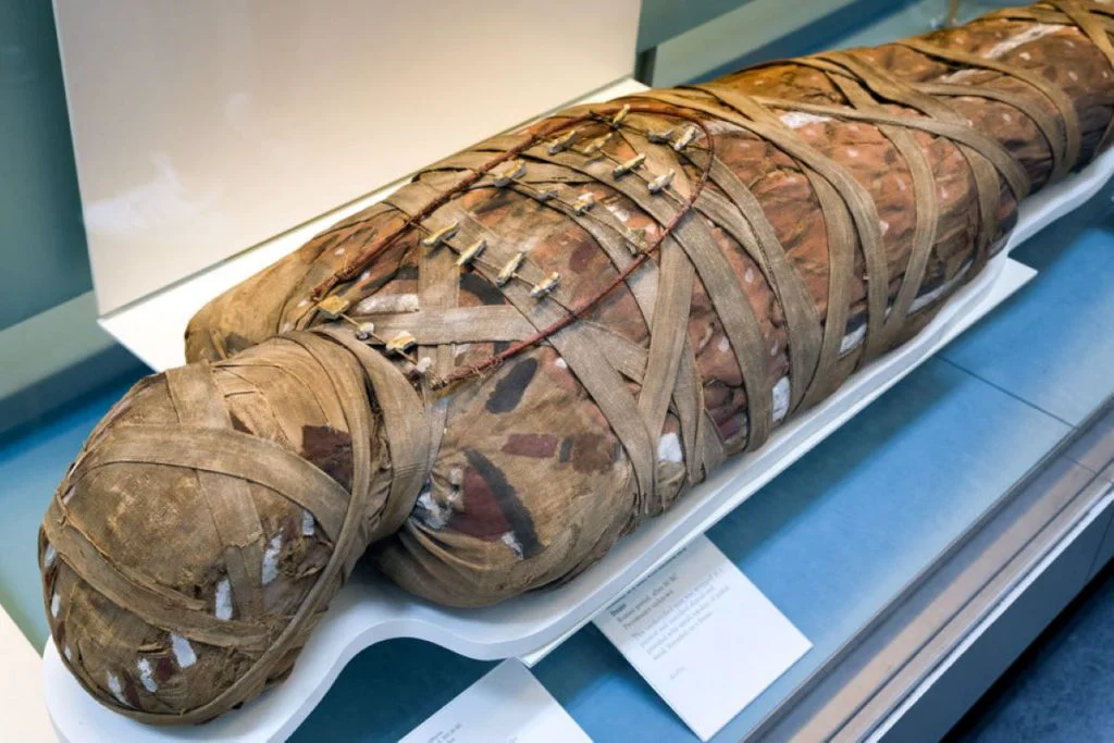 Ce făcea o mumie egipteană cu o limbă de aur?