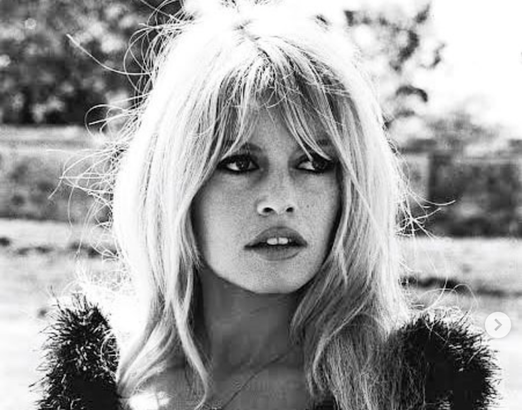 De câte ori a vrut să moară Brigitte Bardot