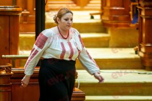 Diana Sosoaca-parlament
