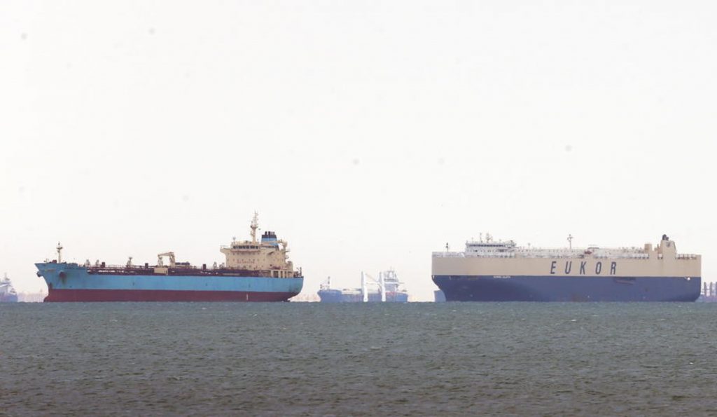 Navele cu animale din România traversează canalul Suez spre destinație. Detalii despre o acțiune fără precedent