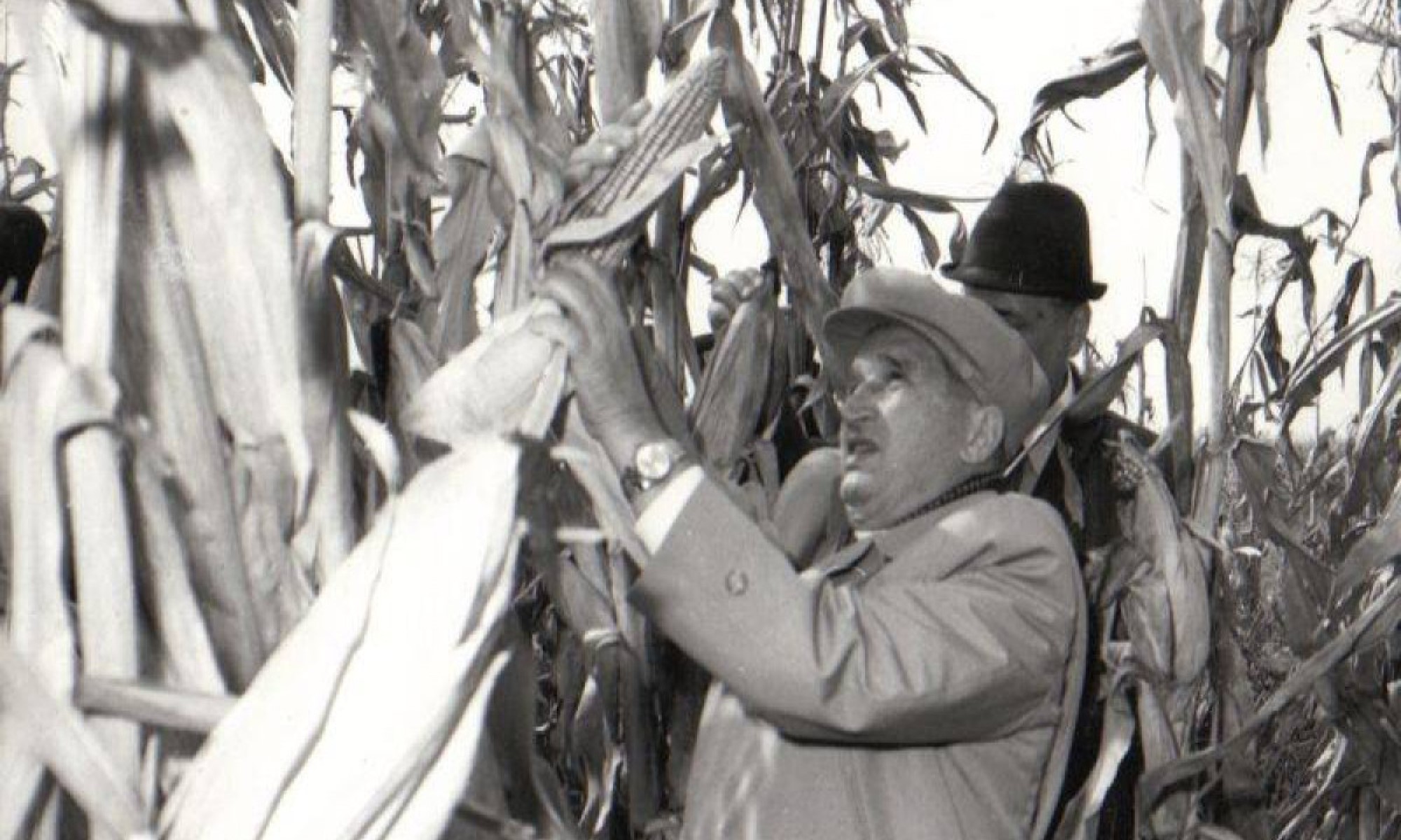 Nicolae Ceaușescu, agricultură