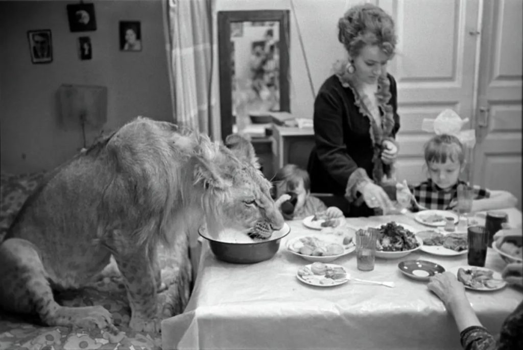 Înduioșătoarea și tragica poveste a familiei sovietice care trăia în apartament cu leii