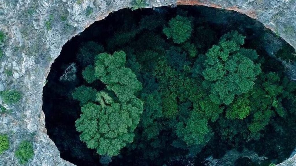 Misterul pădurii subterane din Grecia. Crește într-o peșteră fără fund