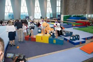 Sala de gimnastică „Nadia Comăneci” din Onești, vandalizată. Cine este bărbatul care a provocat haos
